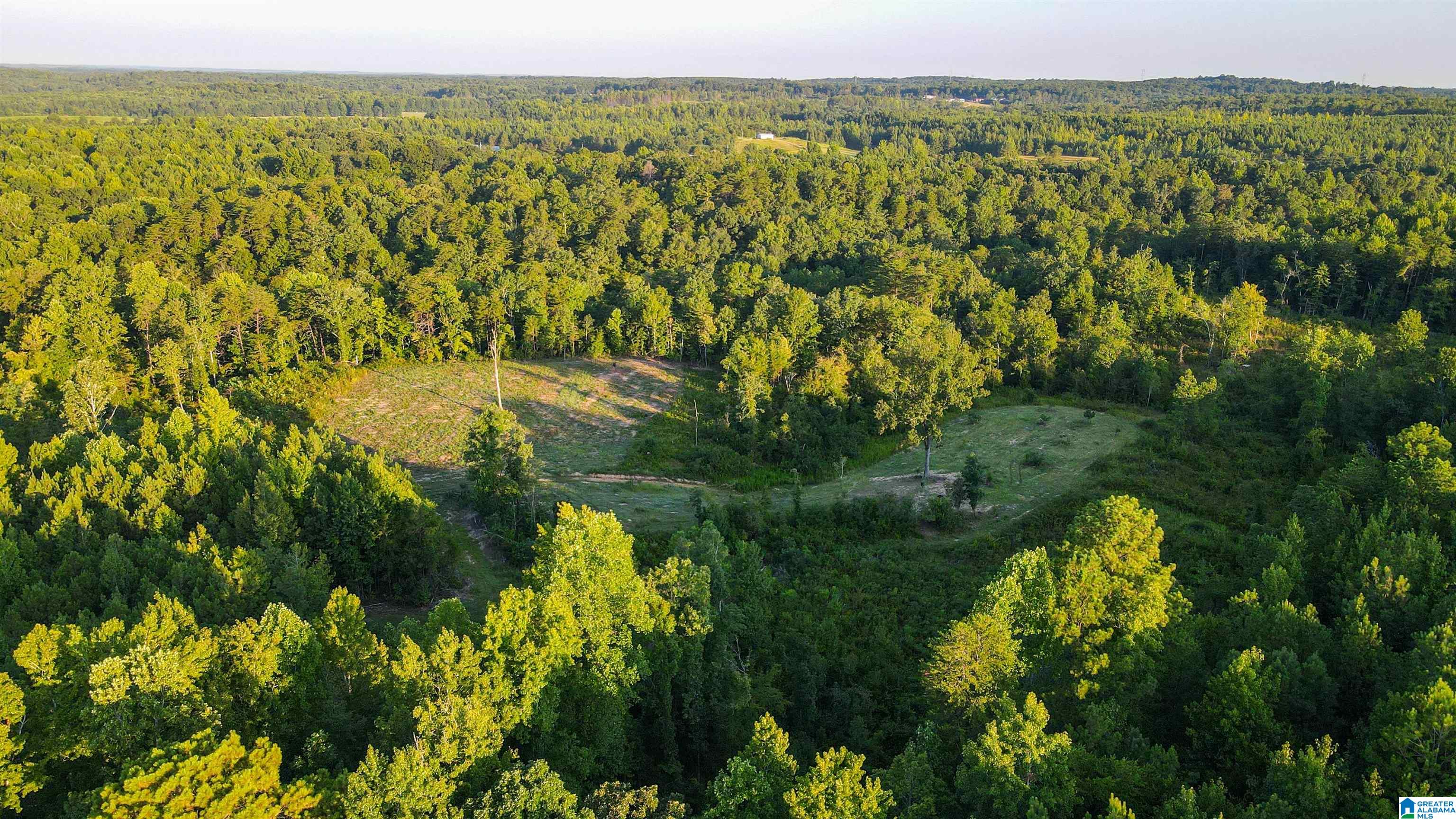 Bonner Drive, Unit 1 Berry, AL 35546 - Photo 32 of 56
