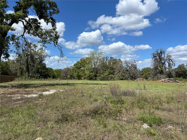 a view of a field