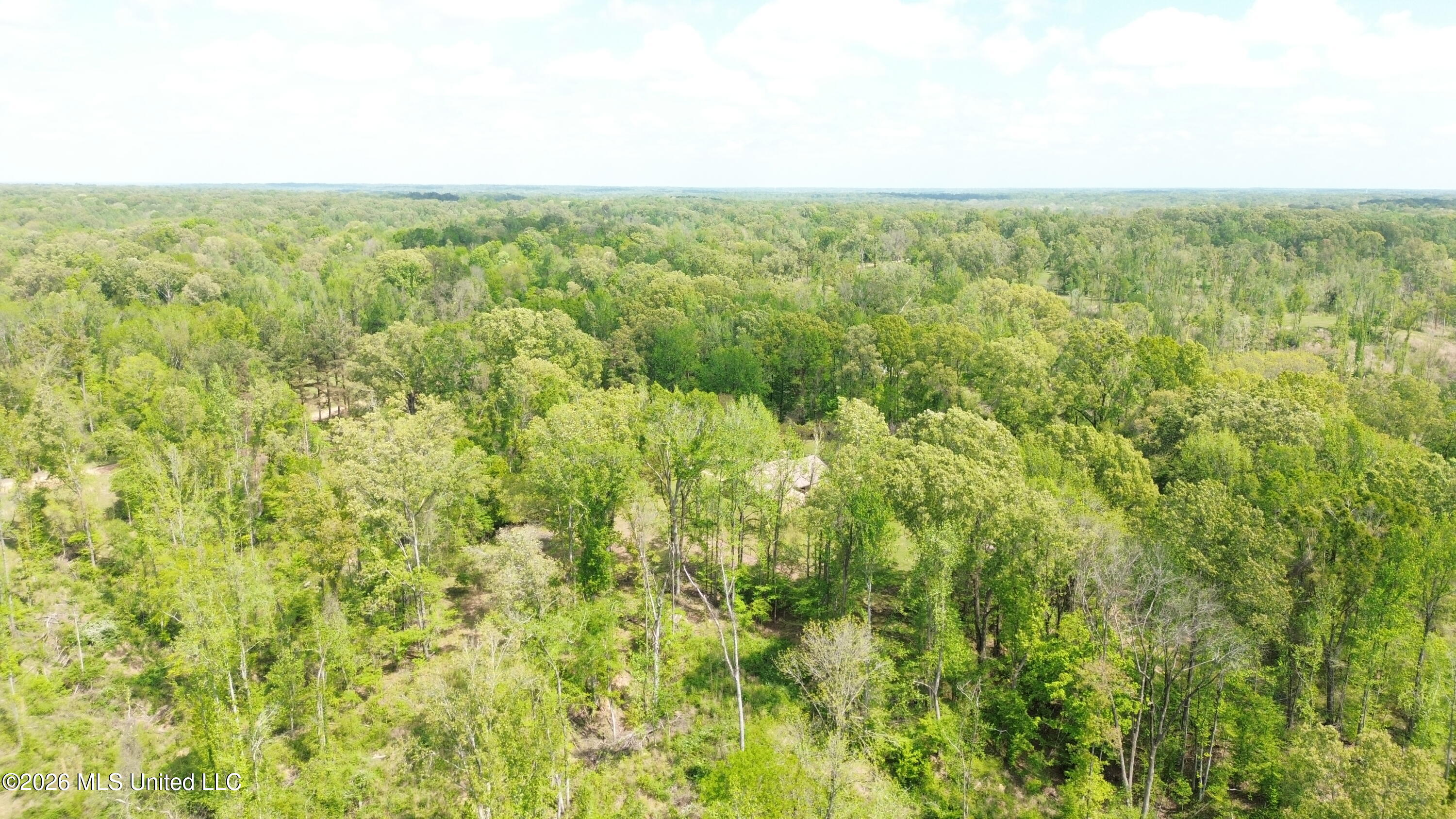 Stevens Road Yazoo City, MS 39194 - Photo 4 of 6 DJI_0607
