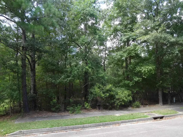 $85,000 | 112 Duany Drive, Georgetown, SC 29440