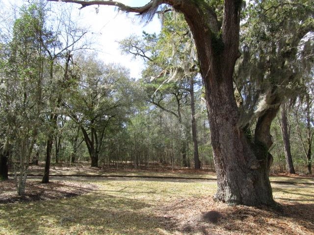 112 Duany Drive Georgetown, SC 29440 - Photo 31 of 33