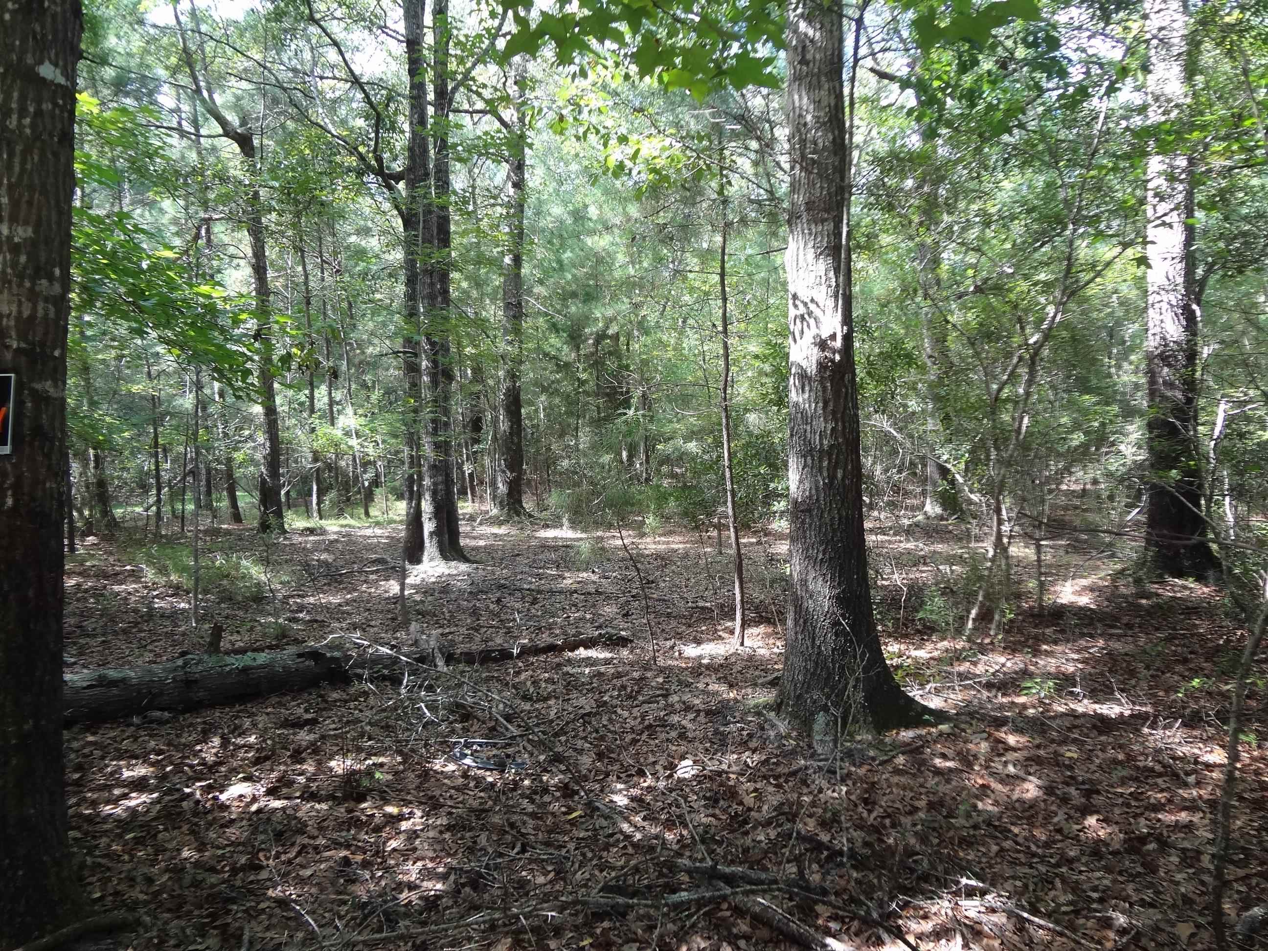 112 Duany Drive Georgetown, SC 29440 - Photo 6 of 33