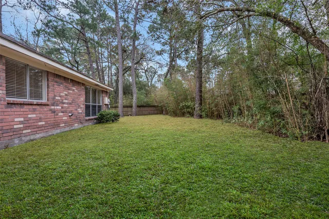 a view of a backyard with a large tree