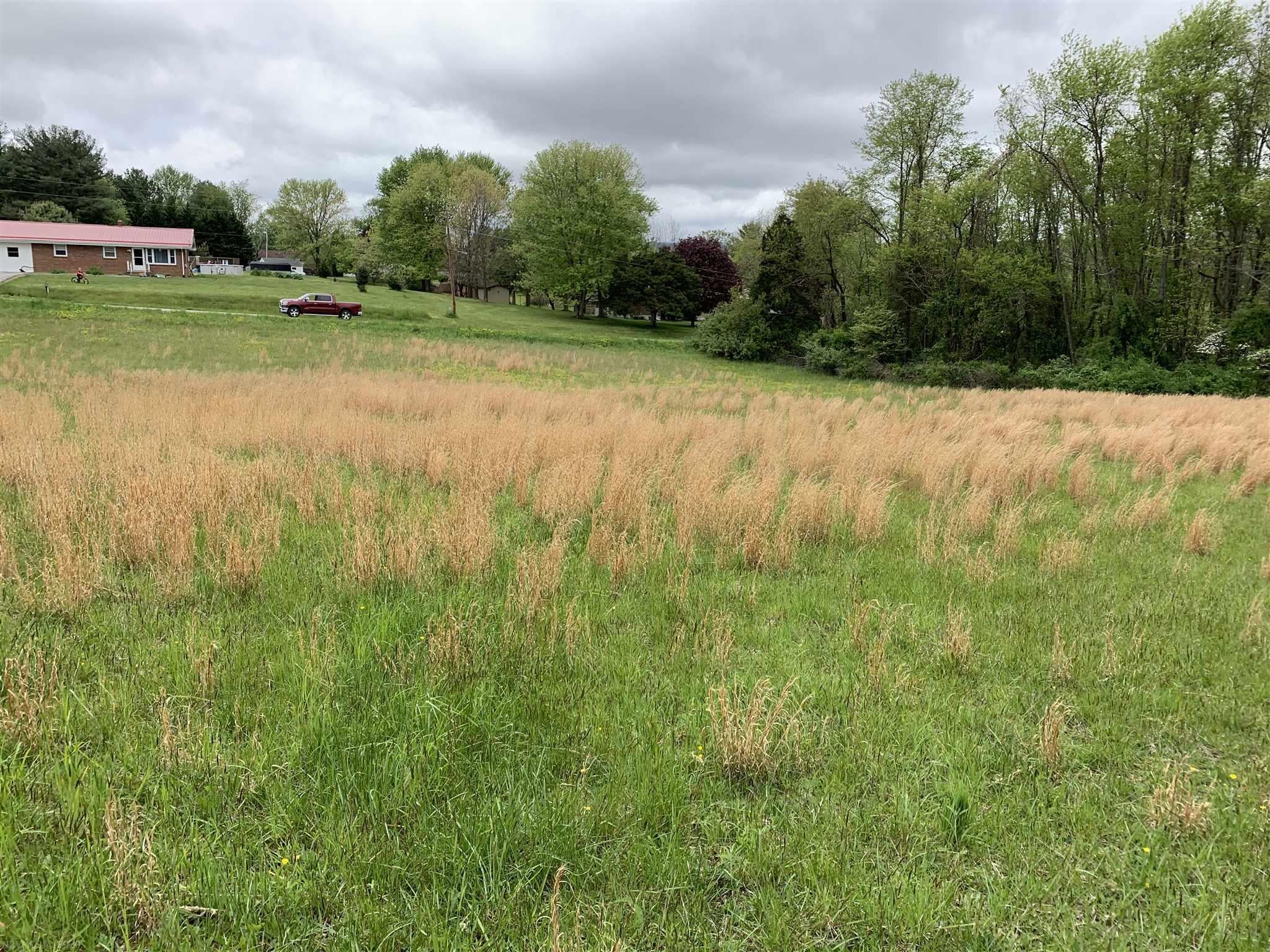 Tbd Marsh Road Blacksburg, VA 24060 - Photo 4 of 4 Gallery Image 4
