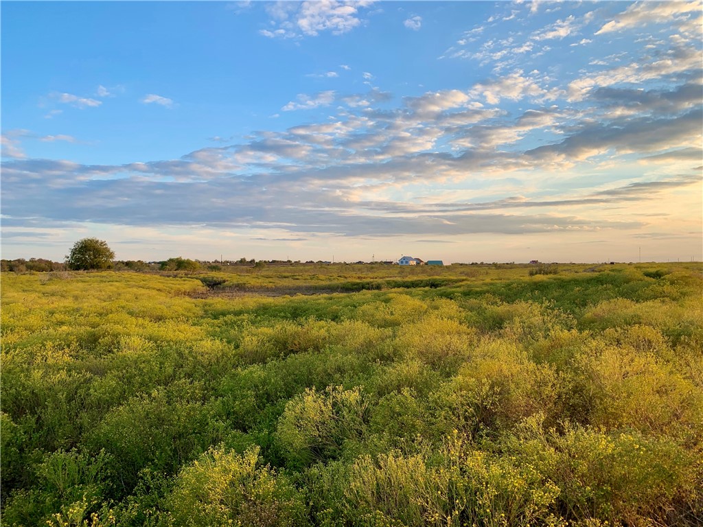 351 New Trail, Unit B Elgin, TX 78621 - Photo 1 of 1