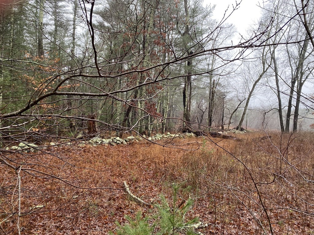 0 Marion Road Middleboro, MA 02346 - Photo 3 of 7