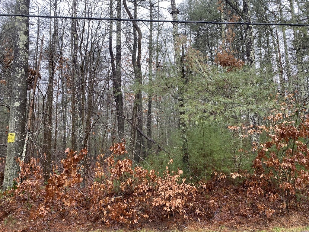 0 Marion Road Middleboro, MA 02346 - Photo 6 of 7 a view of a yard with a lake view