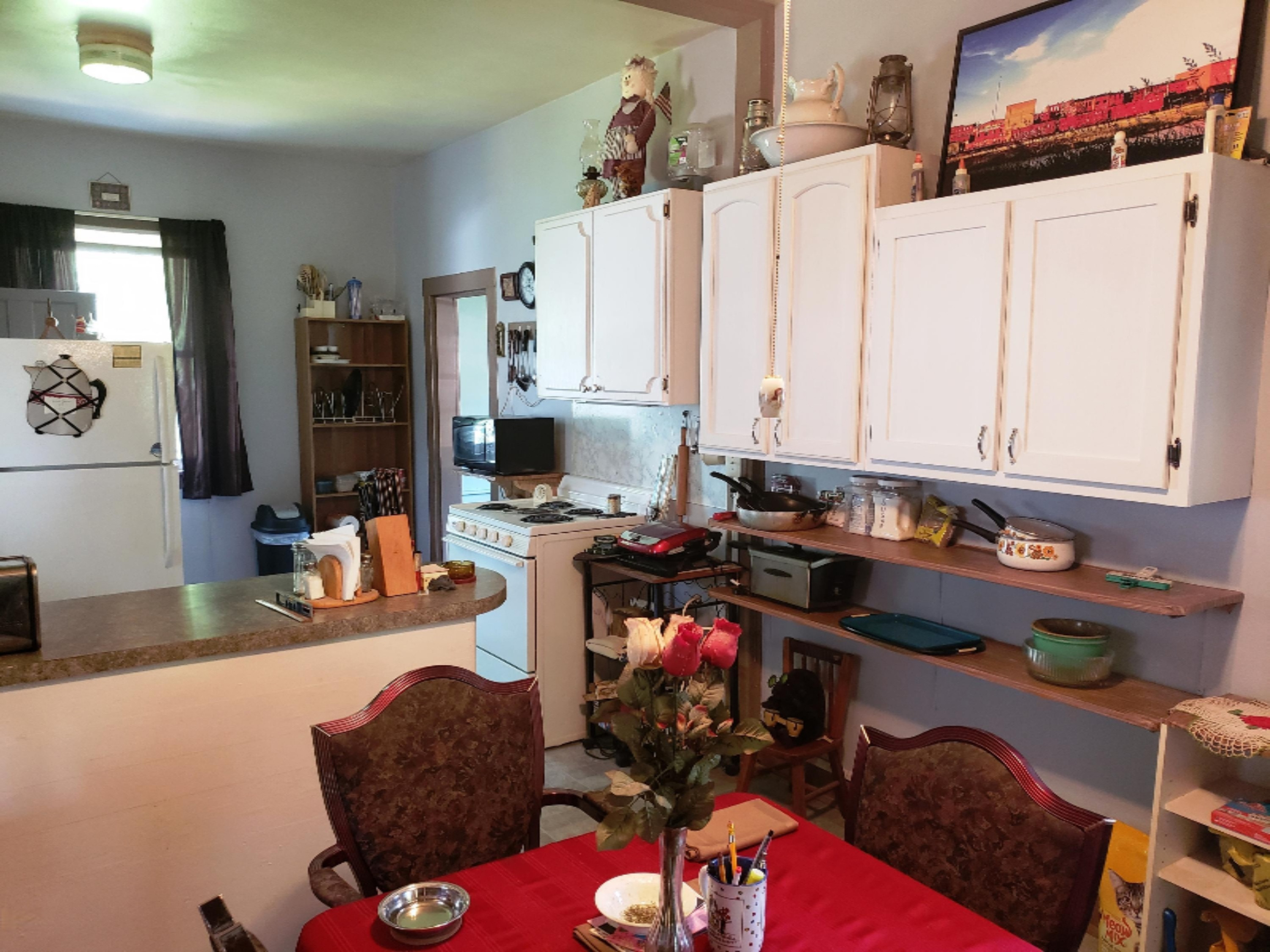 1207 5th Street Three Rivers, MI 49093 - Photo 10 of 23 20190626_122014