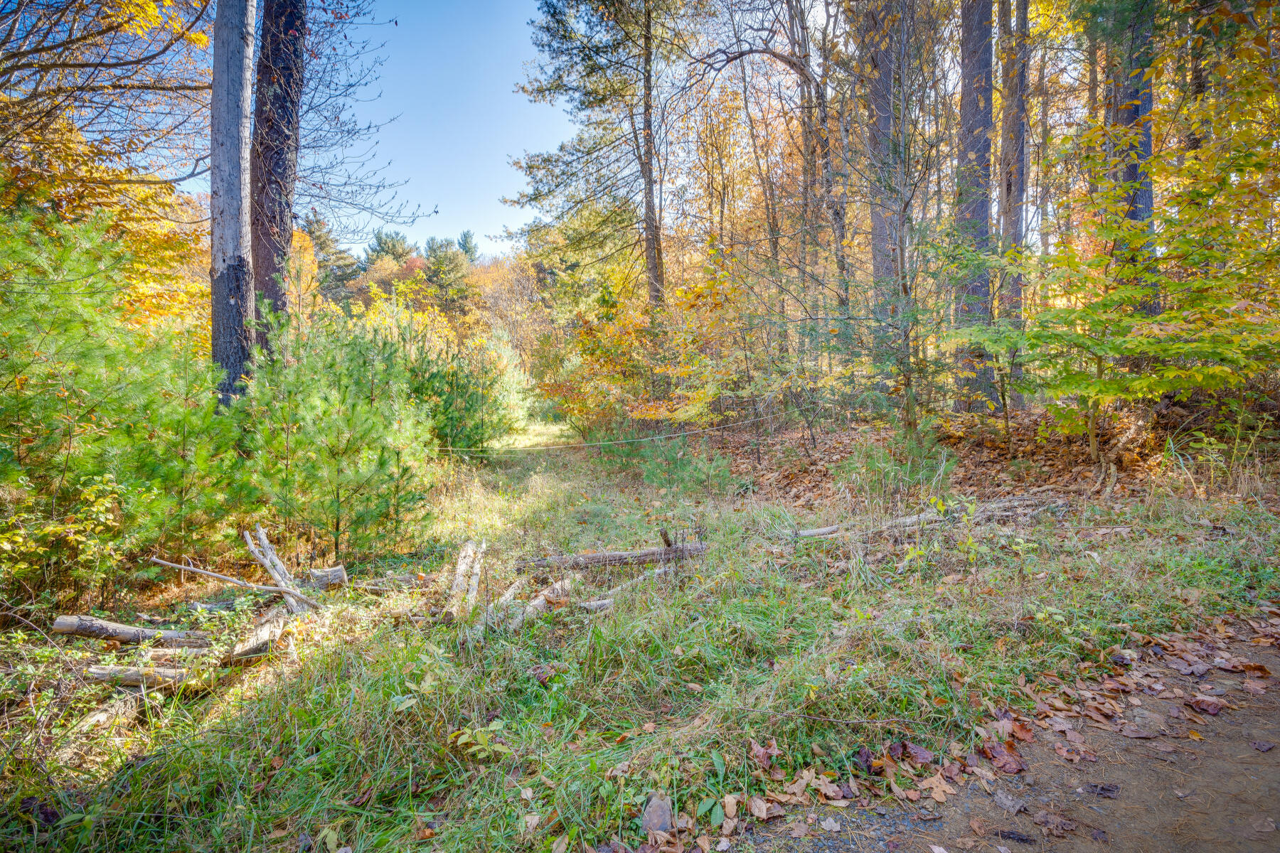 328 Spring Hollow Road Marion, VA 24354 - Photo 2 of 18 001
