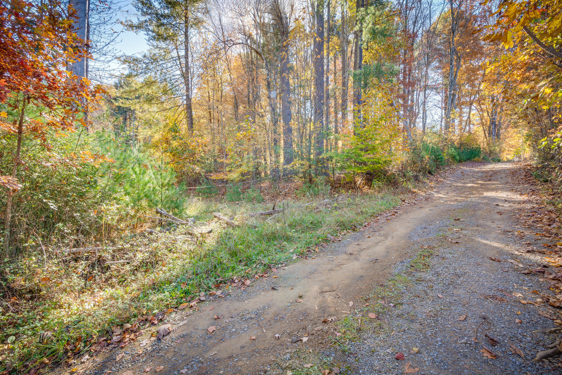 328 Spring Hollow Road Marion, VA 24354 - Photo 3 of 18 002