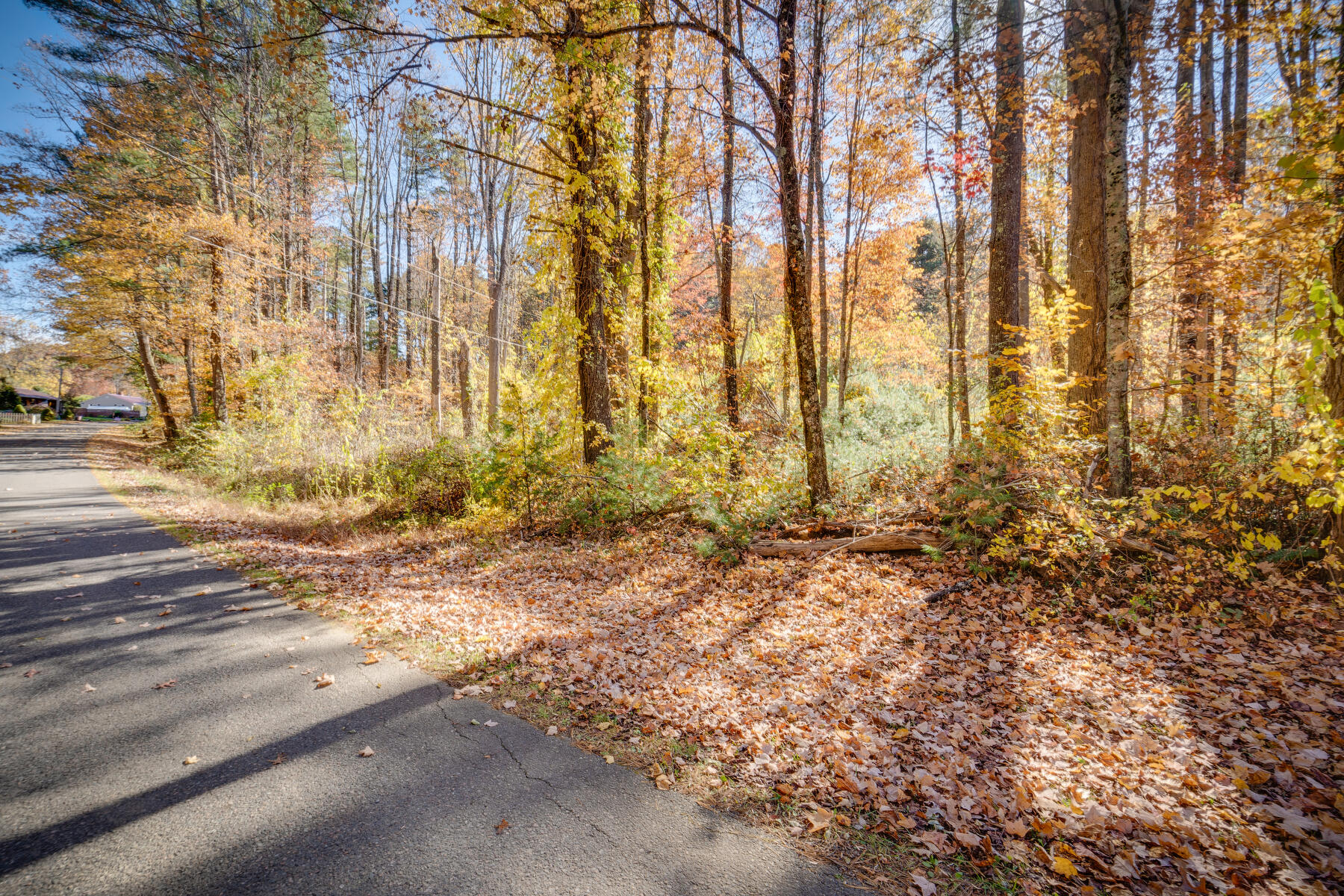 328 Spring Hollow Road Marion, VA 24354 - Photo 4 of 18 003