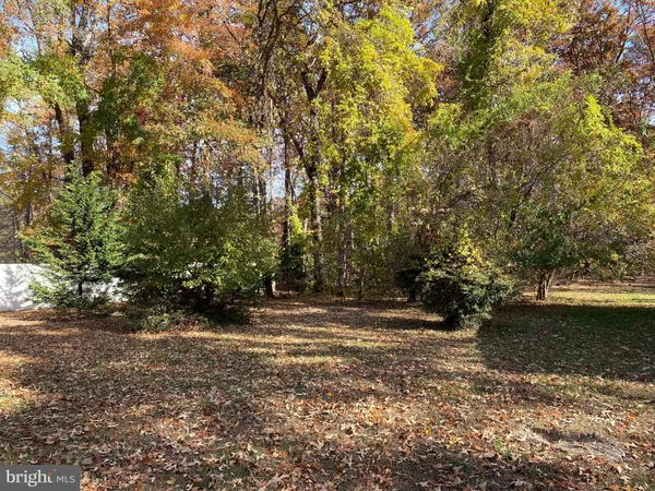 a view of a tree with a yard