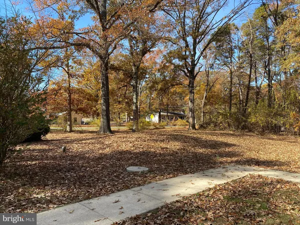 a view of a yard with plants and trees