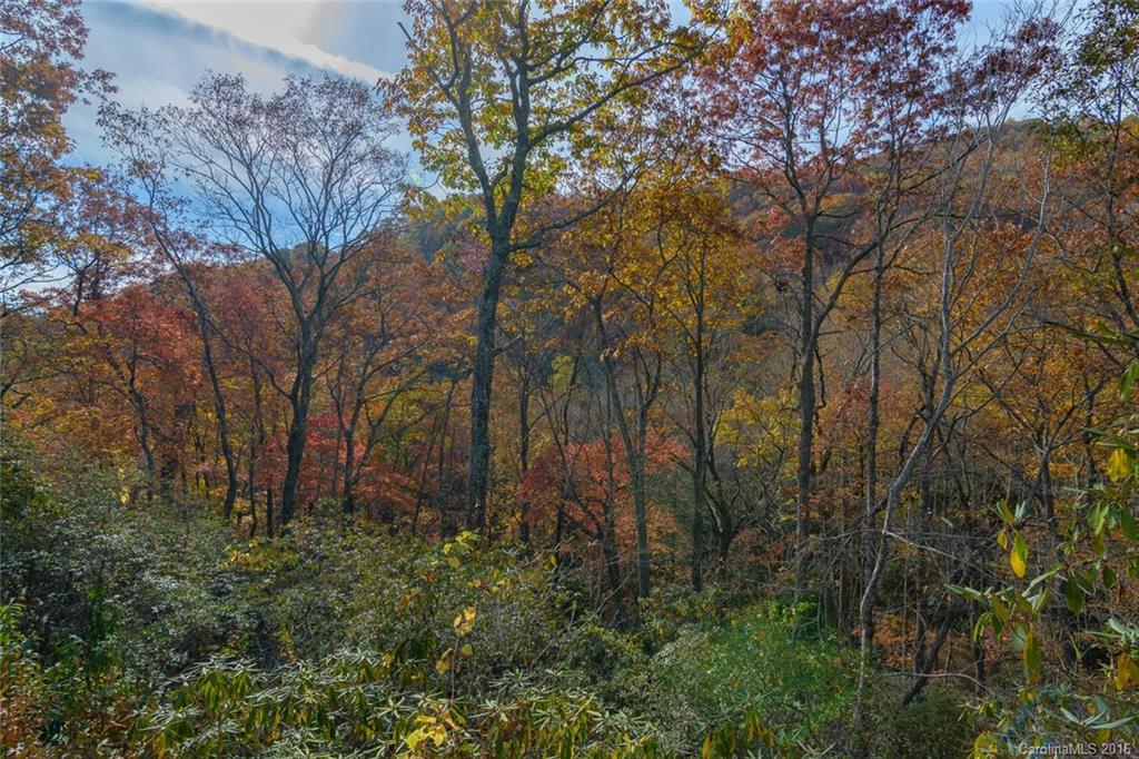 7 Red Oak Forest Road Fairview, NC 28730 - Photo 19 of 24 Gallery Image 19