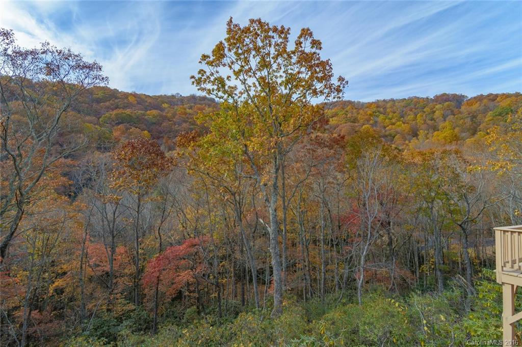 7 Red Oak Forest Road Fairview, NC 28730 - Photo 3 of 24 Gallery Image 3