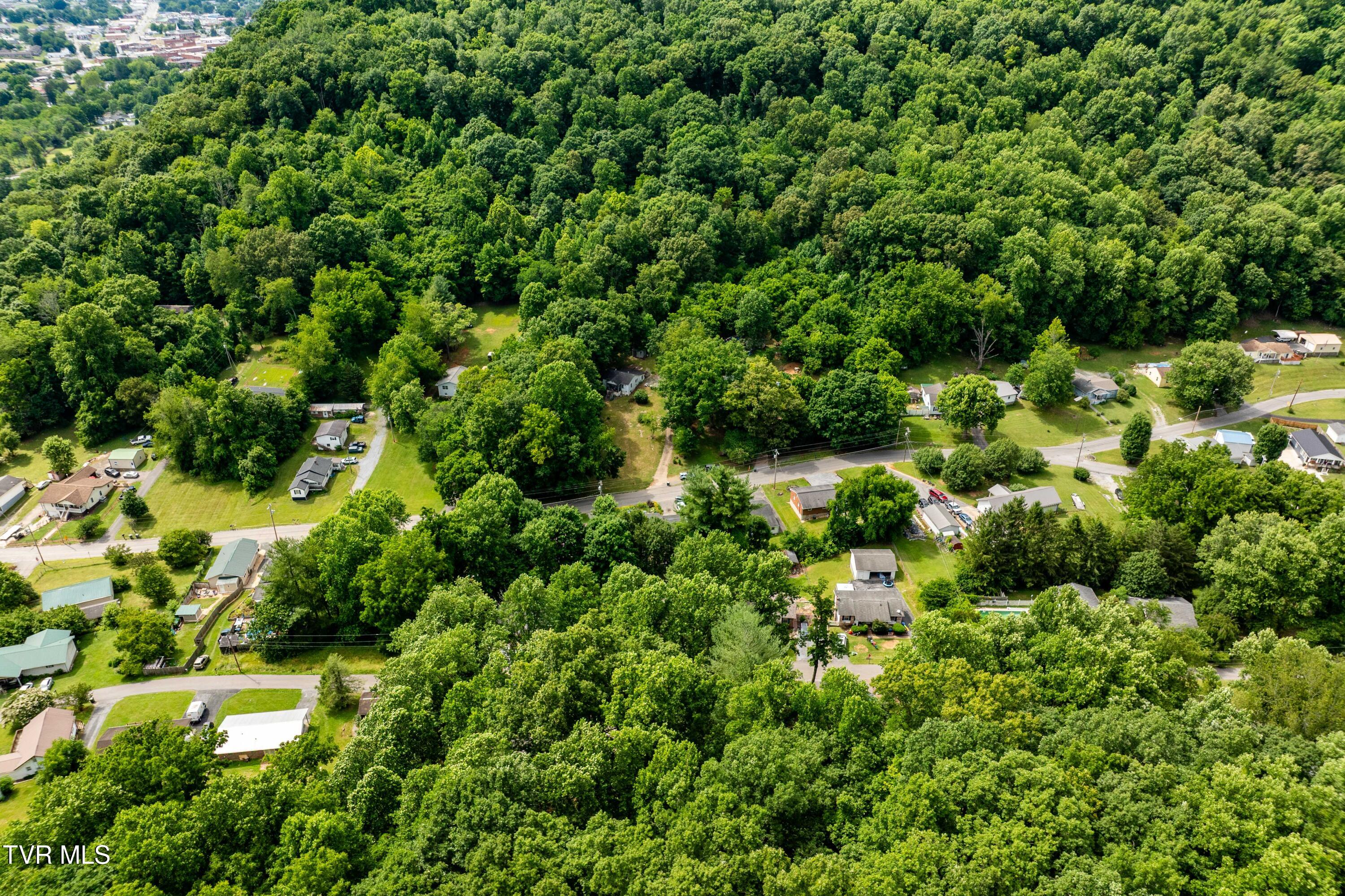 1113 Berry Road Elizabethton, TN 37643 - Photo 49 of 88 1113 Berry Rd (10 of 89)