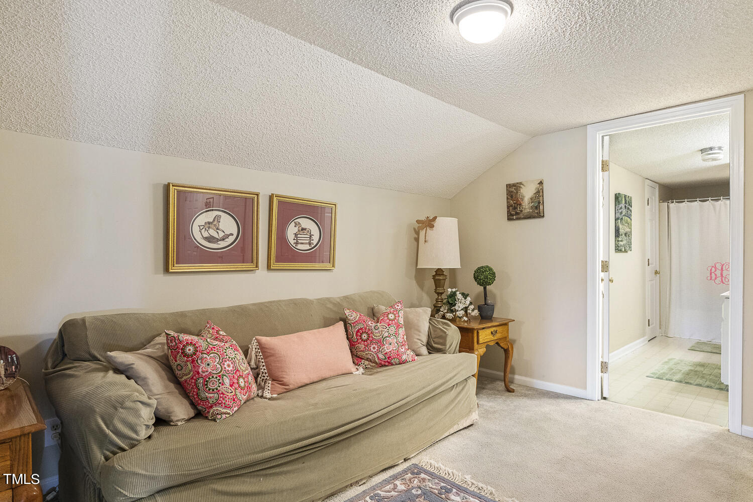 195 Williams Road Coats, NC 27521 - Photo 48 of 100 a blue couch sitting in a living room with a couch