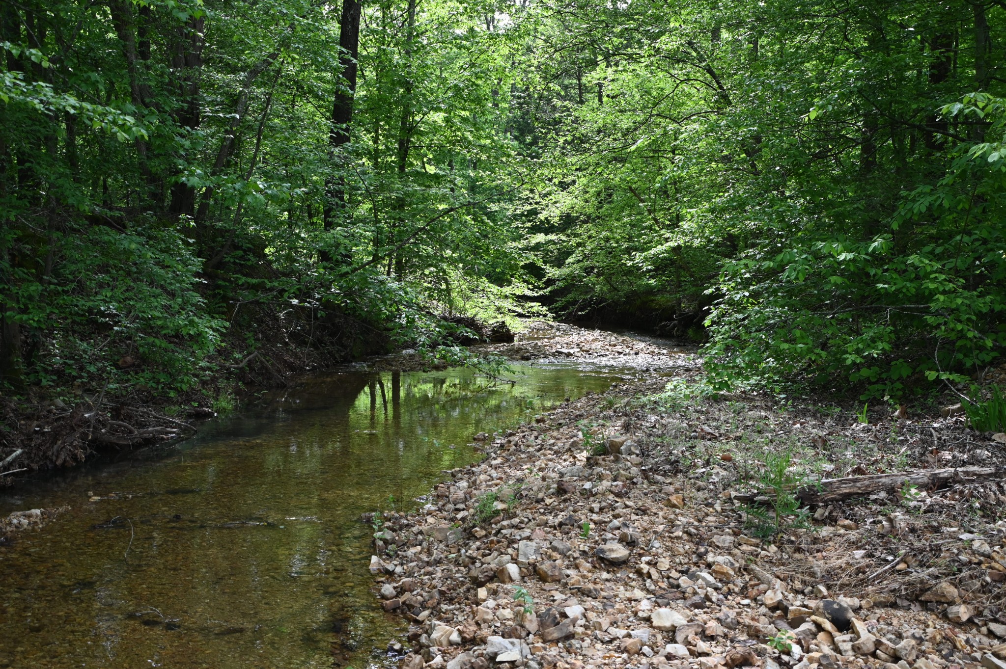 234 Coleman Road Linden, TN 37096 - Photo 11 of 60 Gallery Image 11