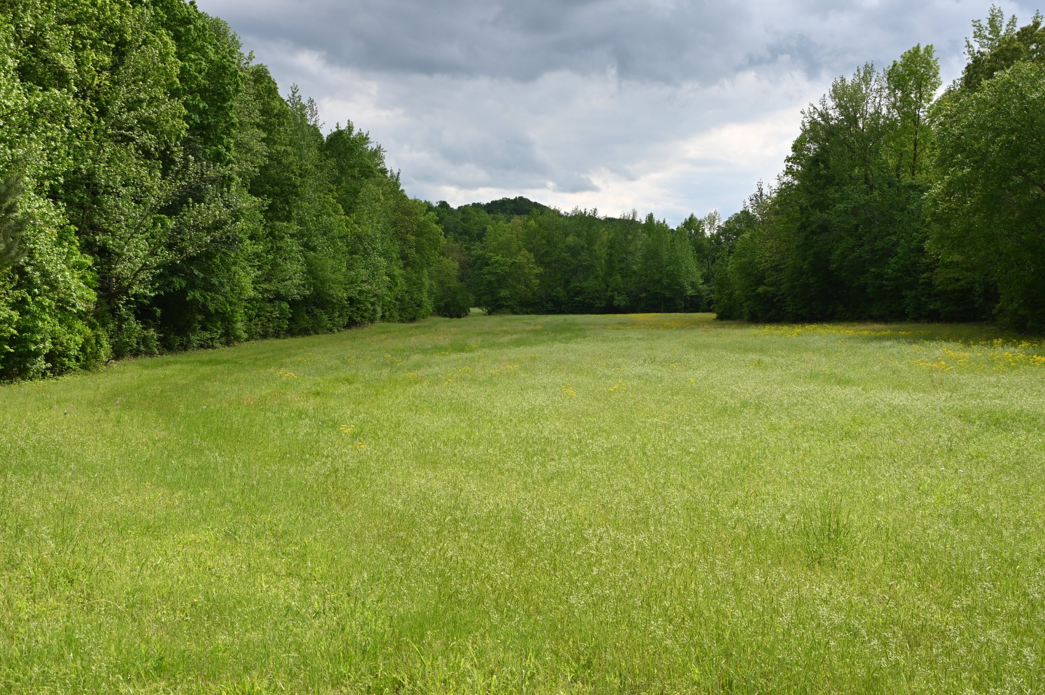 234 Coleman Road Linden, TN 37096 - Photo 12 of 60 Gallery Image 12