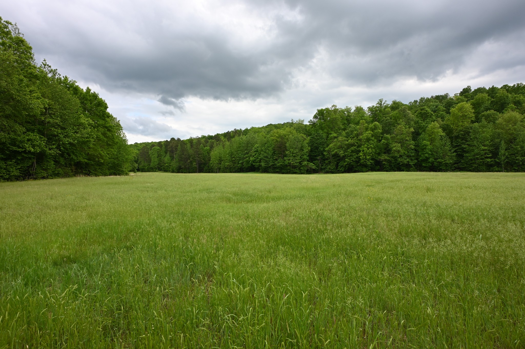 234 Coleman Road Linden, TN 37096 - Photo 15 of 60 Gallery Image 15