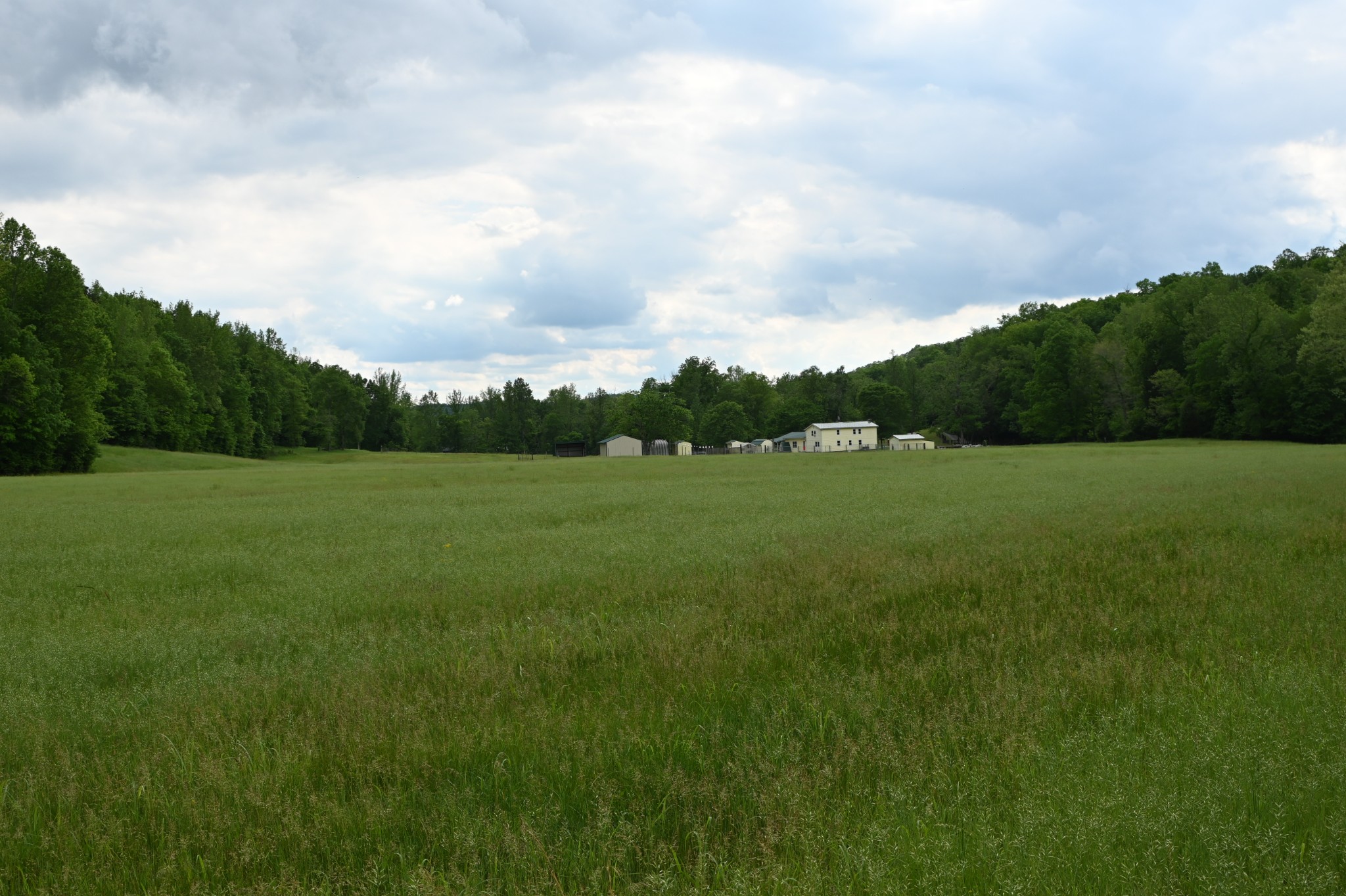 234 Coleman Road Linden, TN 37096 - Photo 16 of 60 Gallery Image 16