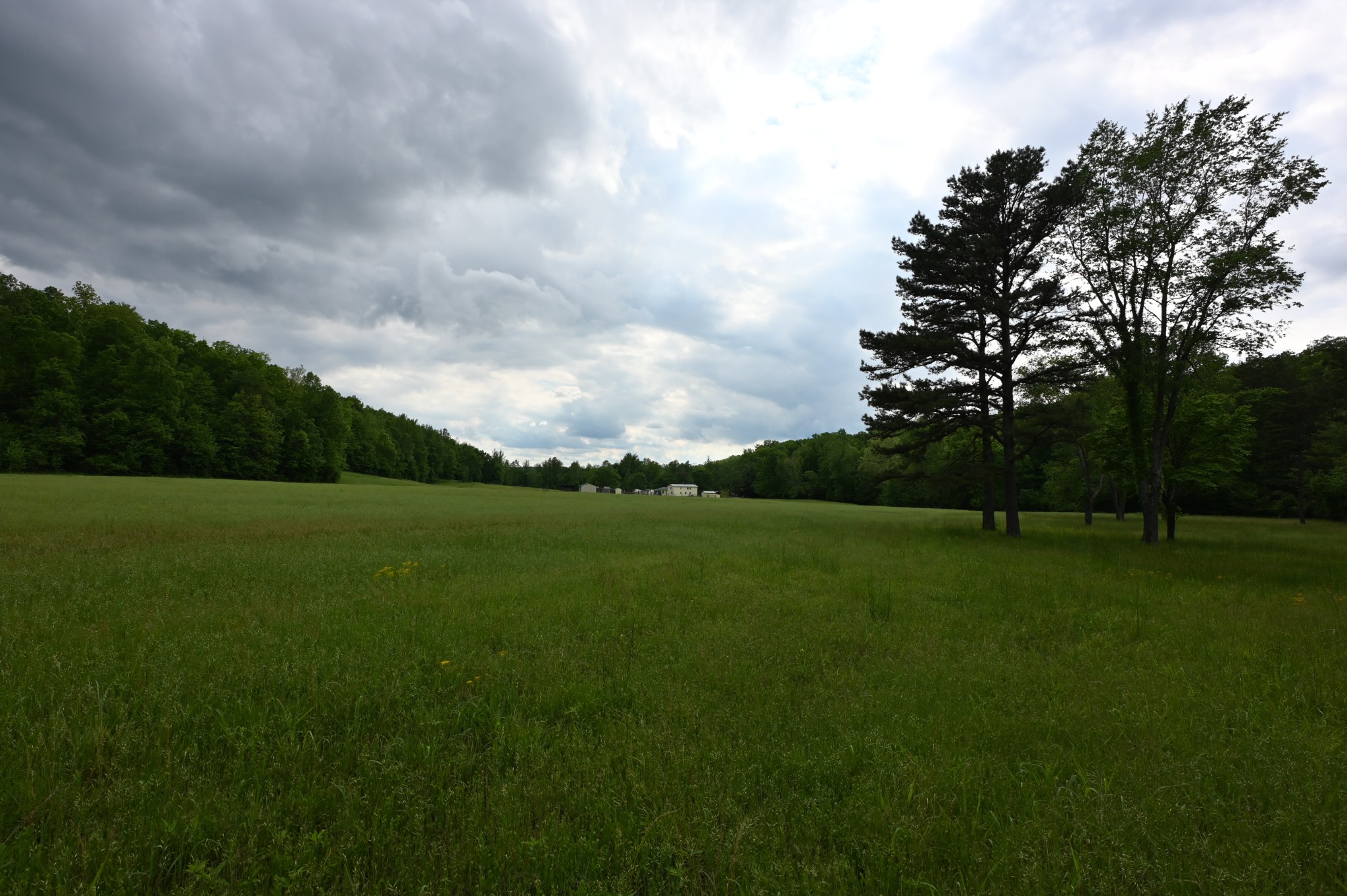 234 Coleman Road Linden, TN 37096 - Photo 17 of 60 Gallery Image 17