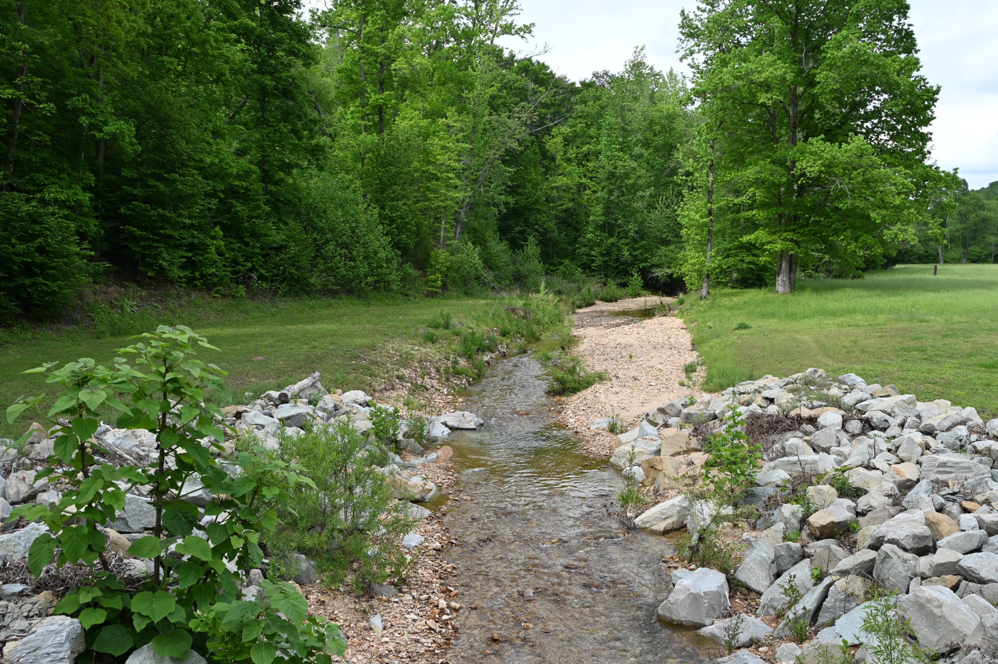 234 Coleman Road Linden, TN 37096 - Photo 38 of 60 Gallery Image 38
