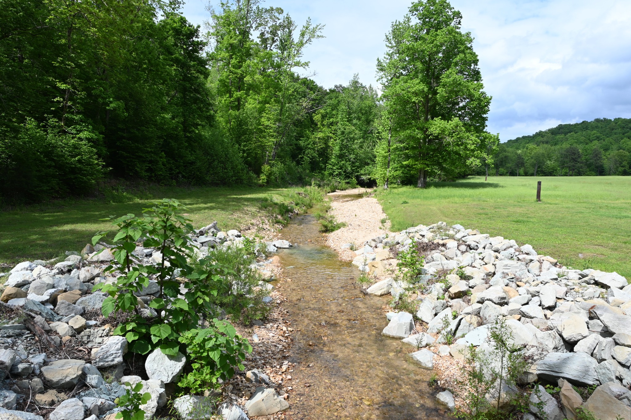 234 Coleman Road Linden, TN 37096 - Photo 39 of 60 Gallery Image 39