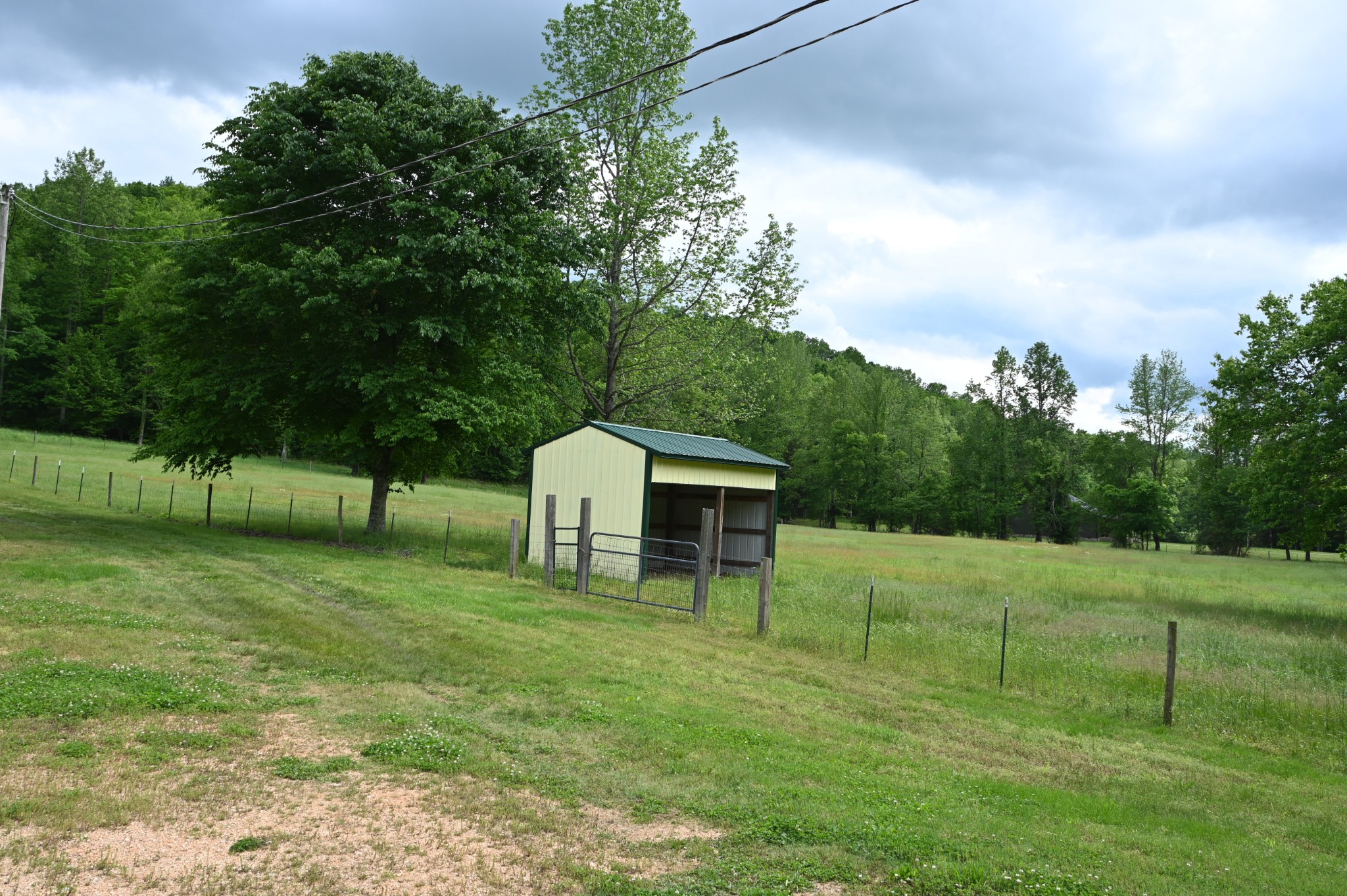 234 Coleman Road Linden, TN 37096 - Photo 41 of 60 Gallery Image 41