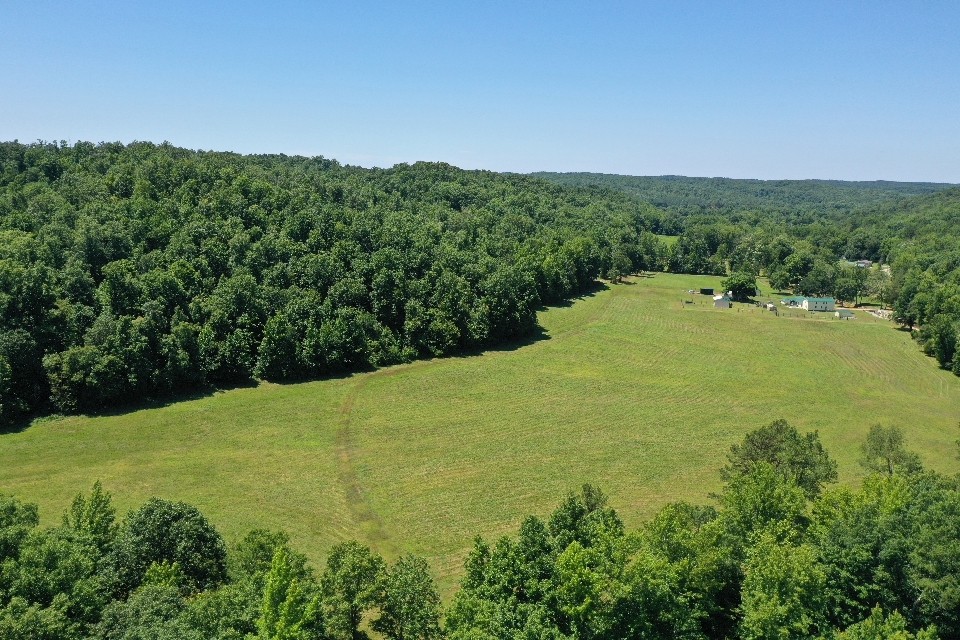 234 Coleman Road Linden, TN 37096 - Photo 45 of 60 Gallery Image 45