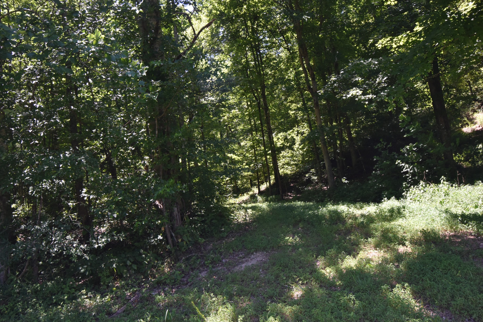 234 Coleman Road Linden, TN 37096 - Photo 47 of 60 Gallery Image 47