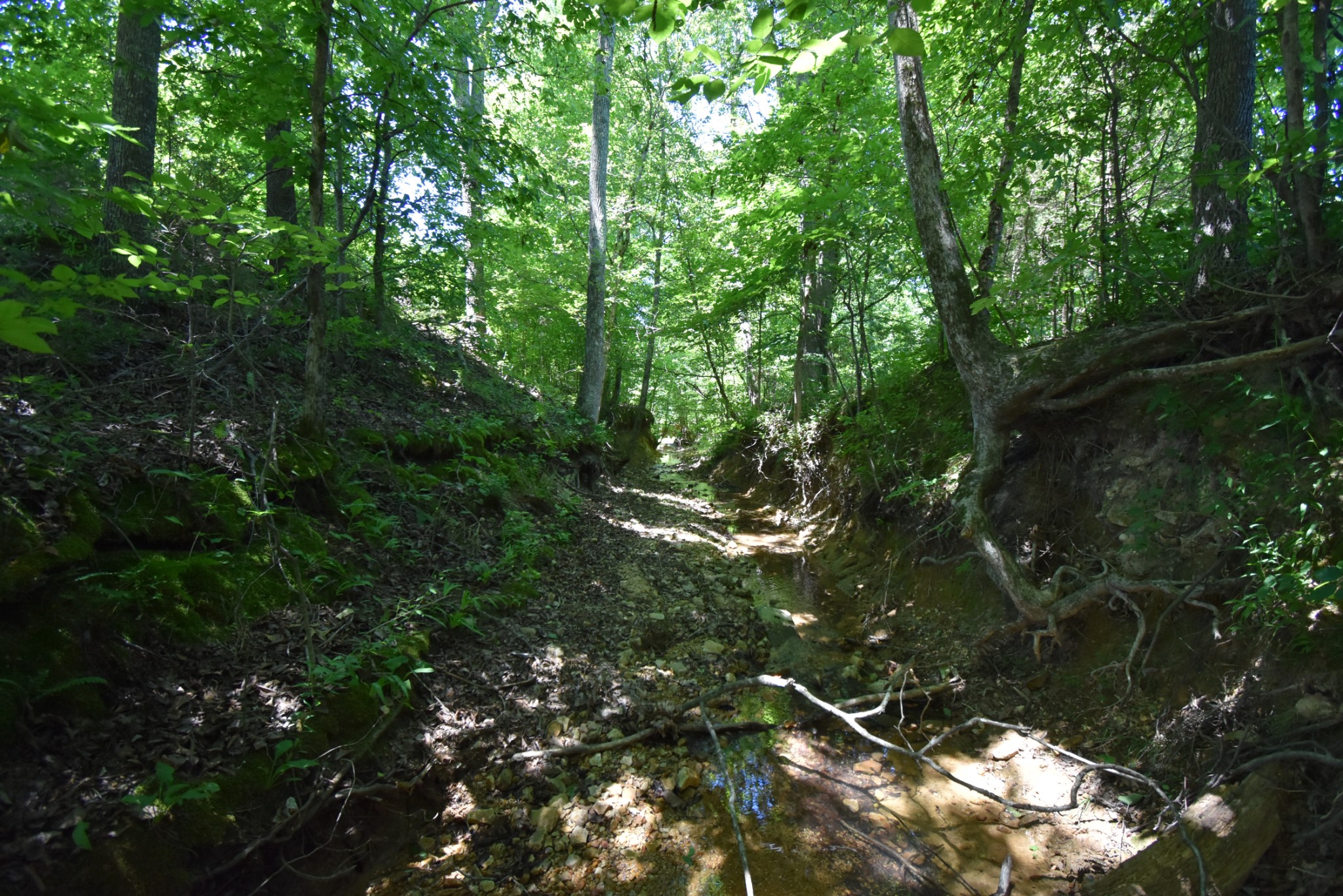 234 Coleman Road Linden, TN 37096 - Photo 48 of 60 Gallery Image 48