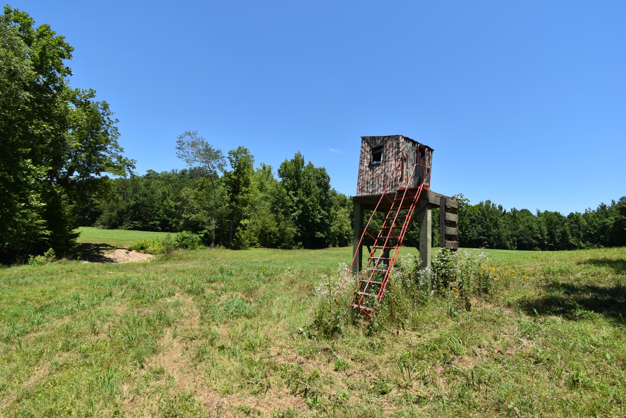 234 Coleman Road Linden, TN 37096 - Photo 49 of 60 Gallery Image 49