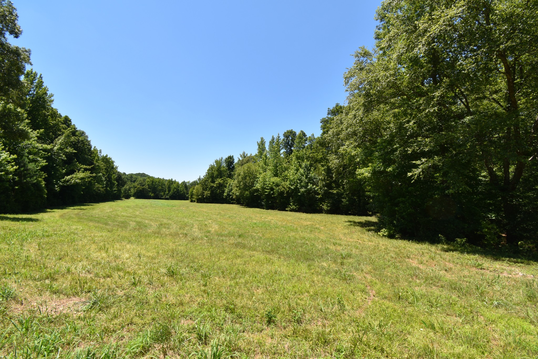 234 Coleman Road Linden, TN 37096 - Photo 50 of 60 Gallery Image 50