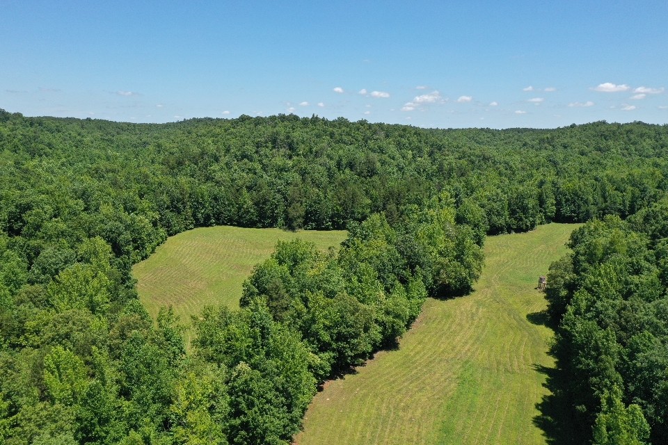 234 Coleman Road Linden, TN 37096 - Photo 53 of 60 Gallery Image 53