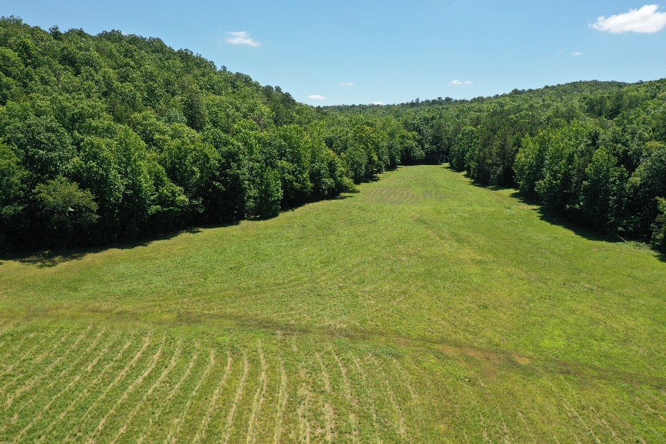 234 Coleman Road Linden, TN 37096 - Photo 54 of 60 Gallery Image 54