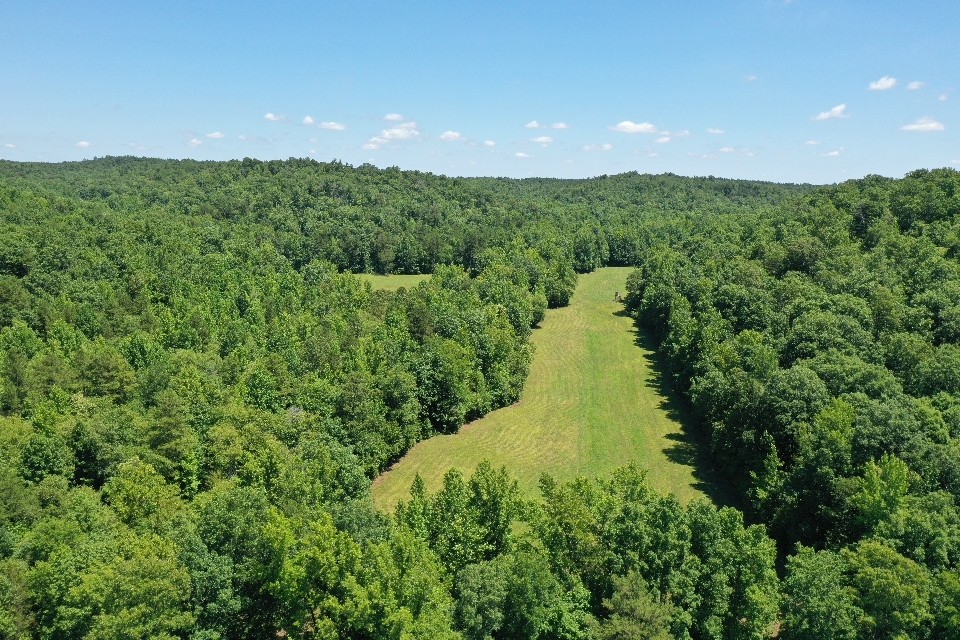 234 Coleman Road Linden, TN 37096 - Photo 58 of 60 Gallery Image 58