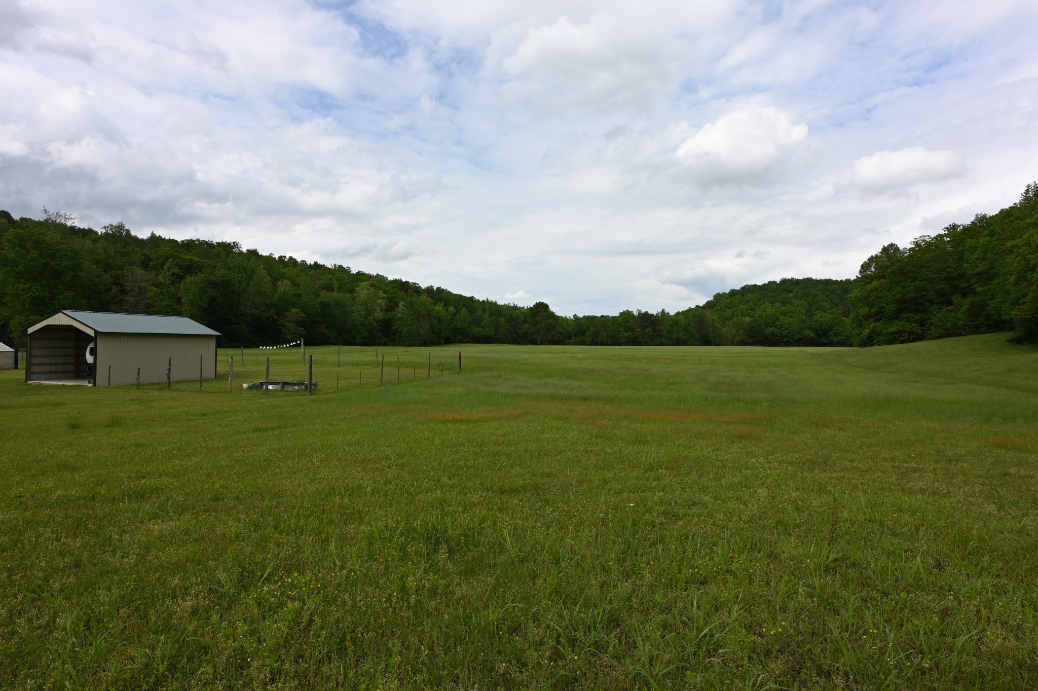 234 Coleman Road Linden, TN 37096 - Photo 7 of 60 Gallery Image 7