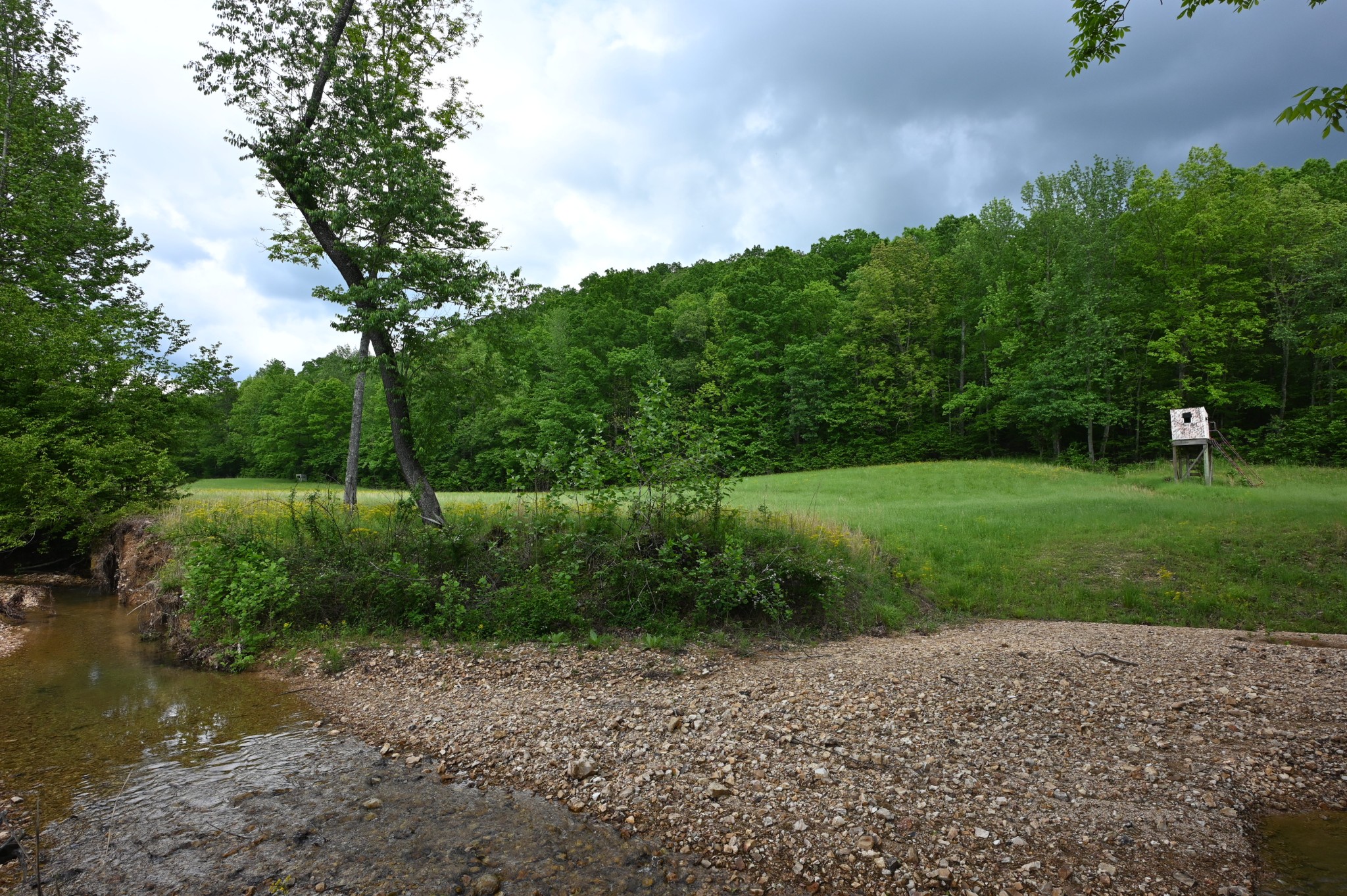 234 Coleman Road Linden, TN 37096 - Photo 10 of 60 Gallery Image 10