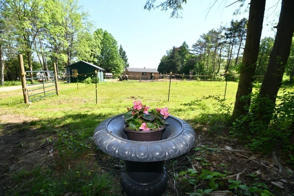 16 Birch Meadow Road Merrimac, MA 01860 - Photo 31 of 39