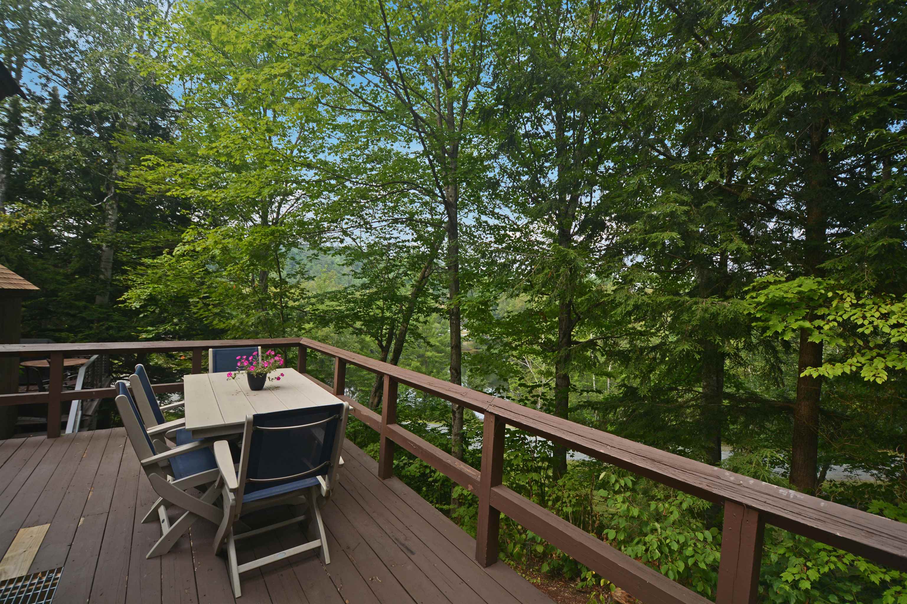 4 Bay Tree Lane Grantham, NH 03753 - Photo 4 of 28