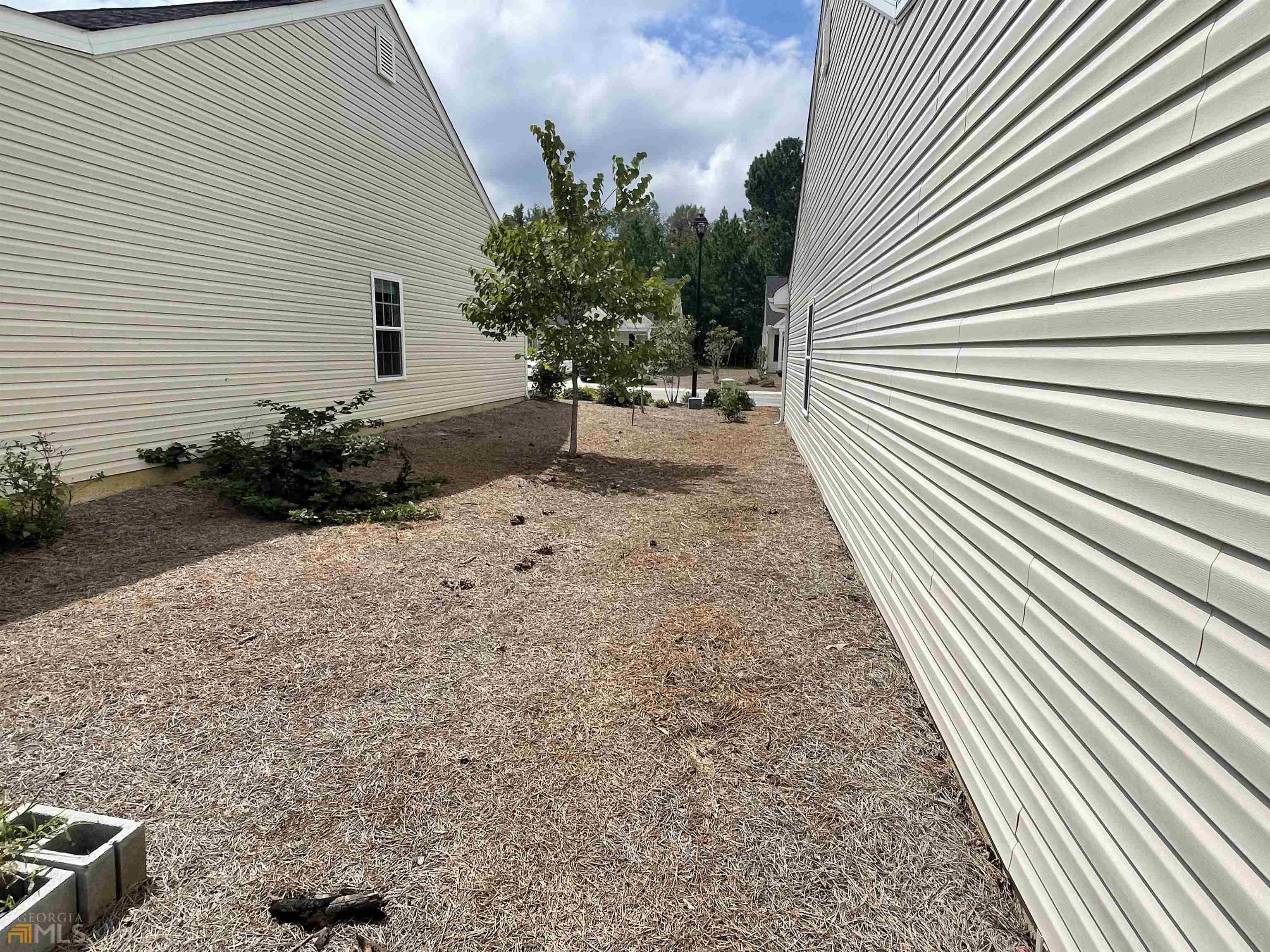 148 Buckhaven Way, Unit 148 Statesboro, GA 30458 - Photo 27 of 27 a potted plant sitting in front of a house
