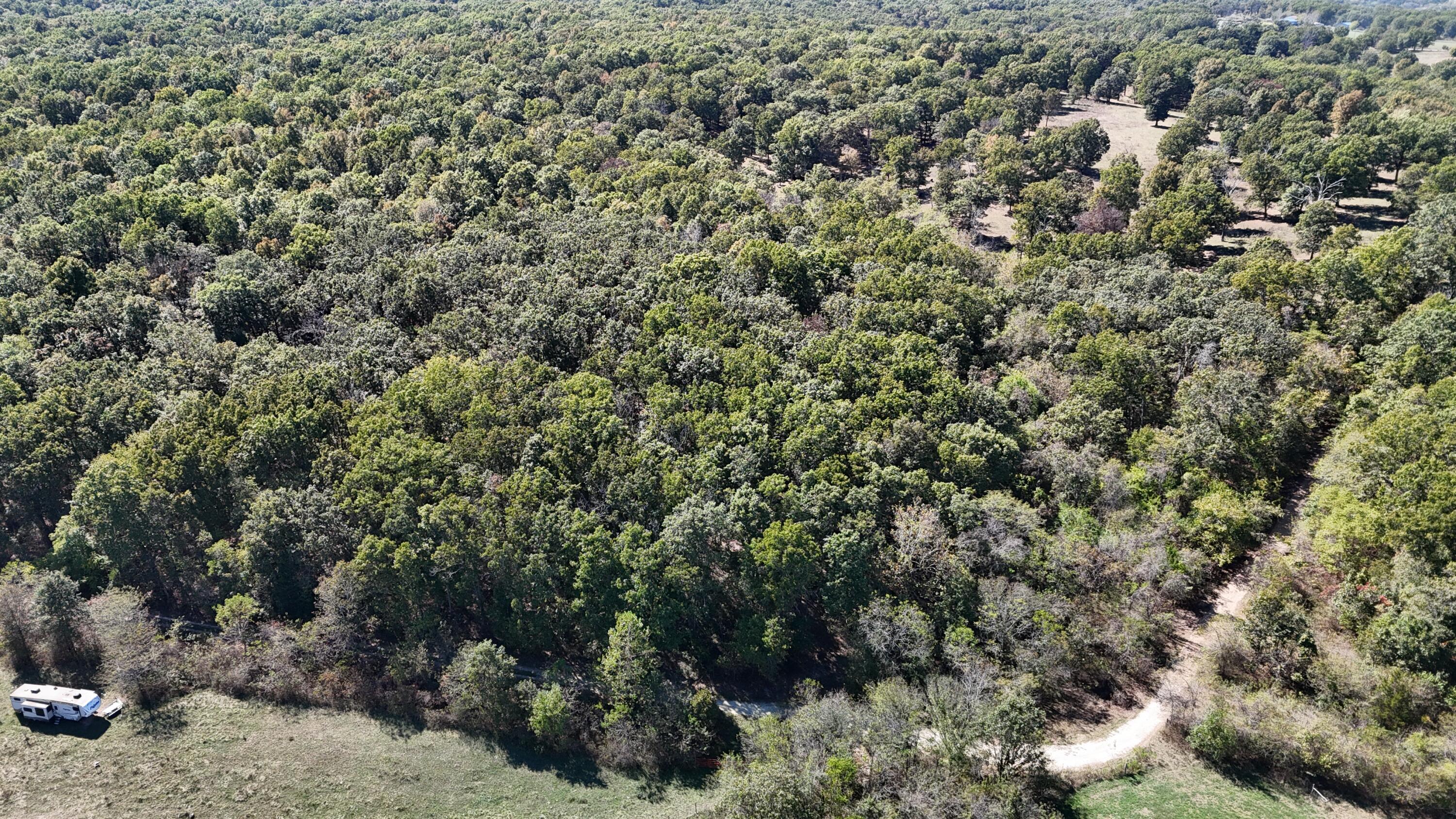 0 Grapevine Road Marshfield, MO 65706 - Photo 7 of 13 DJI_20251008131406_0546_D