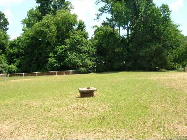 3624 Guess Road Durham, NC 27705 - Photo 2 of 12 Back Yard