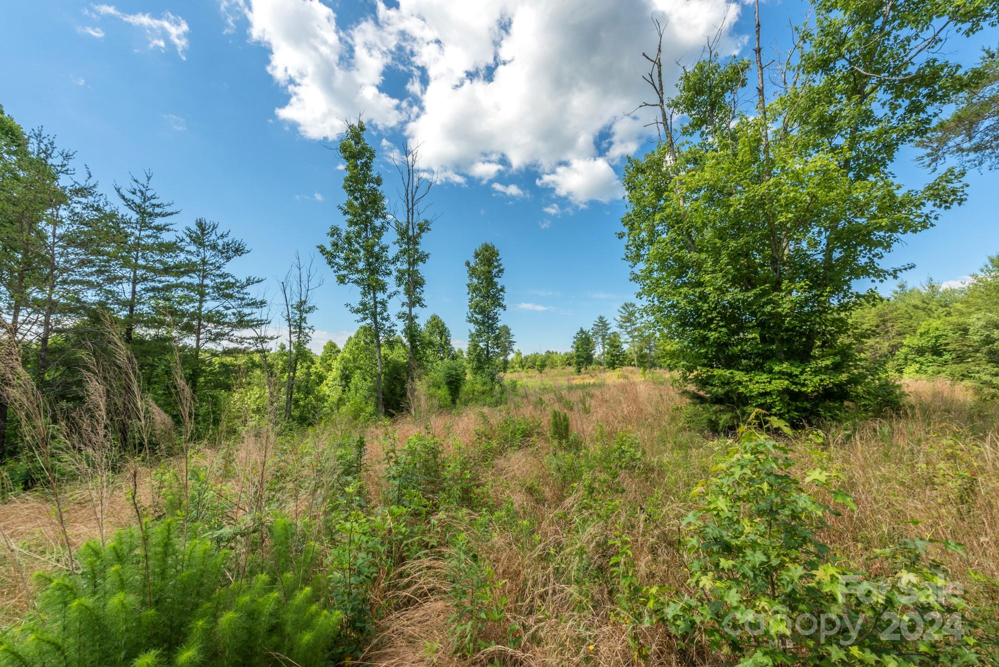 4569 Firetower Road, Unit E Morganton, NC 28655 - Photo 3 of 20 Gallery Image 3