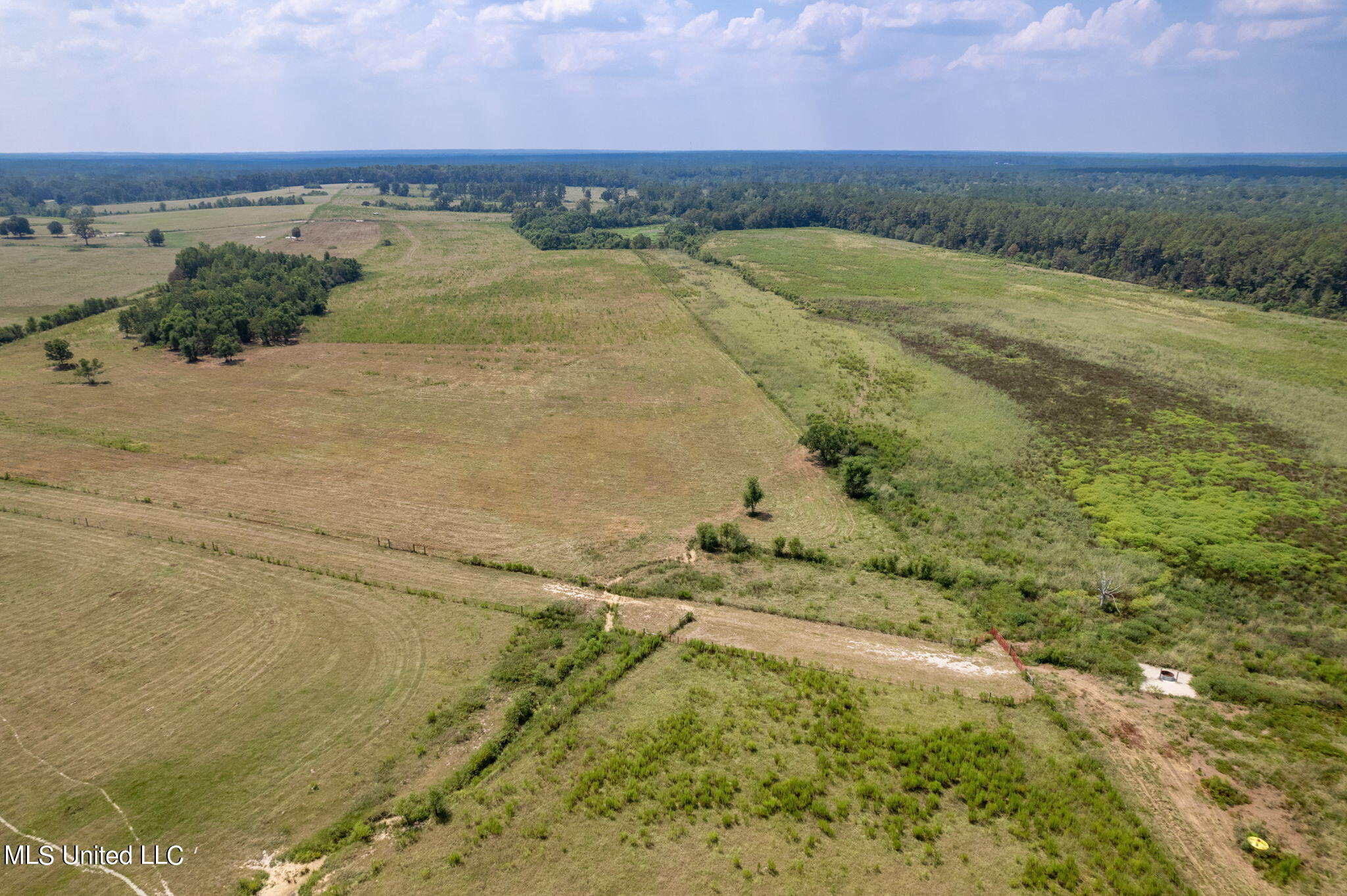 603 Osborn Moody Road Poplarville, MS 39470 - Photo 68 of 72 603_Osborn_Moody_Rd-73