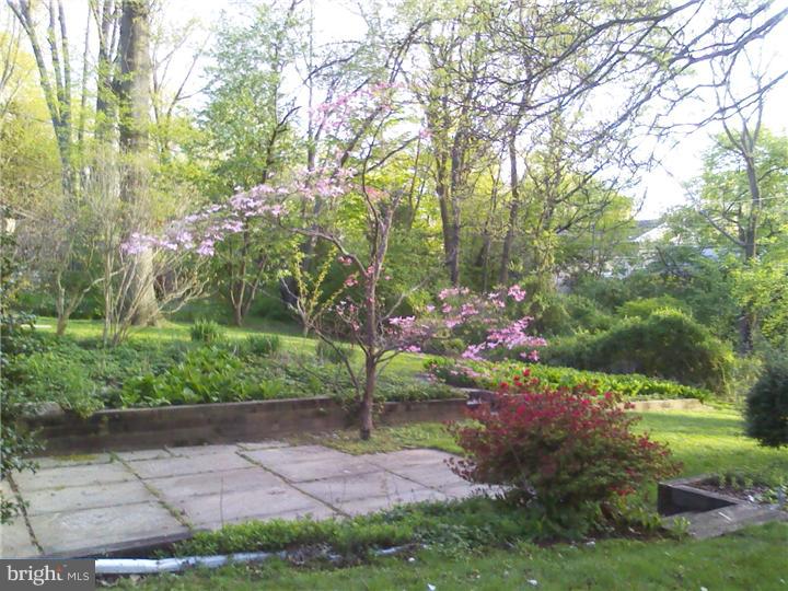 709 Preston Road Glenside, PA 19038 - Photo 11 of 16 Gallery Image 11