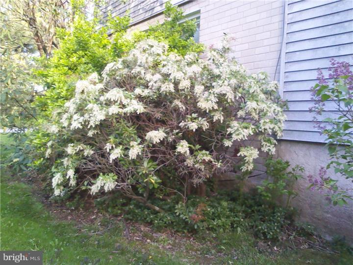 709 Preston Road Glenside, PA 19038 - Photo 10 of 16 Gallery Image 10