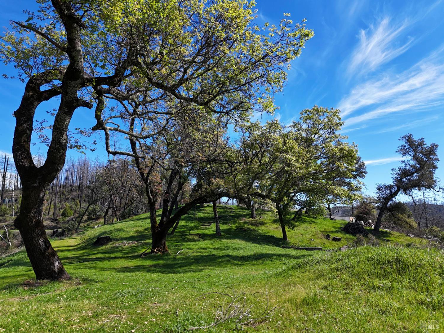 6505 Erland Road Santa Rosa, CA 95404 - Photo 16 of 41 a view of a park with large trees