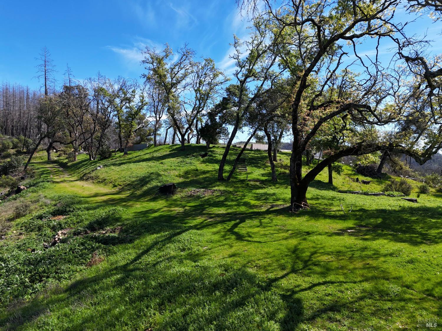 6505 Erland Road Santa Rosa, CA 95404 - Photo 17 of 41 a big yard with lots of green space and trees